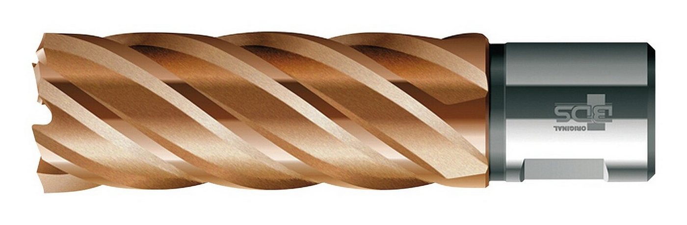 BDS Kernbohrer, VARIOPlus lang KBI HSS Schaft Weldon 36/50 mm BDS Kernbohrer, VARIOPlus lang KBI HSS Schaft Weldon 36/50 mm von BDS