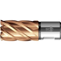 Kernbohrer hss vp kurz 39/30mm kbk - BDS von BDS
