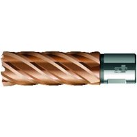 BDS Kernbohrer VARIOPlus lang KBI HSS Schaft Weldon 19/50mm von BDS