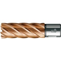 Kernbohrer VARIOPlus lang KBI HSS Schaft Weldon 23/50mm BDS Kernbohrer VARIOPlus lang KBI HSS Schaft Weldon 23/50mm BDS von FP