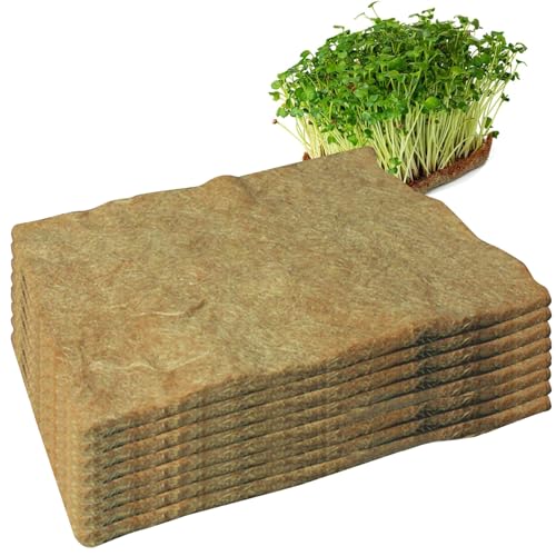 8pcs Hanfmatten zum Anbau von Microgreens 10x20 '' Microgreens Anbau von Kit Jute Matte organische Samen Sprossen Wachstum Matte für Samenstarterschalen, Hanfmatten für den Anbau von Mikrogreen 8pcs Hanfmatten zum Anbau von Microgreens 10x20 '' Microgreens Anbau von Kit Jute Matte organische Samen Sprossen Wachstum Matte für Samenstarterschalen, Hanfmatten für den Anbau von Mikrogreen von BEAHING