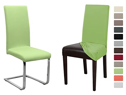 BEAUTEX 2er Set Jersey Stuhlhusse (Farbe wählbar), elastische Uni Stretch-Husse aus Baumwolle Bi-Elastisch (Hellgruen) von BEAUTEX