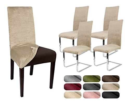 BEAUTEX 4er Set LEA Stuhlhusse, elastische Uni Stretch-Husse aus Samt Mikrofaser Farbe wählbar (Natur) von BEAUTEX