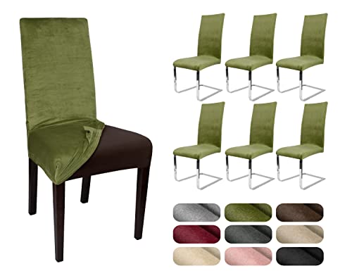 BEAUTEX 6er Set LEA Stuhlhusse, elastische Uni Stretch-Husse aus Samt Mikrofaser Farbe wählbar (Olivgrün) von BEAUTEX