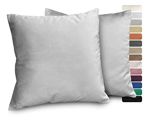BEAUTEX Lea Samt Kissenhüllen 2er Set, Premium Kissenbezug, Sofa- und Dekokissen, Größe und Farbe wählbar (40x40 cm, Silber) von BEAUTEX