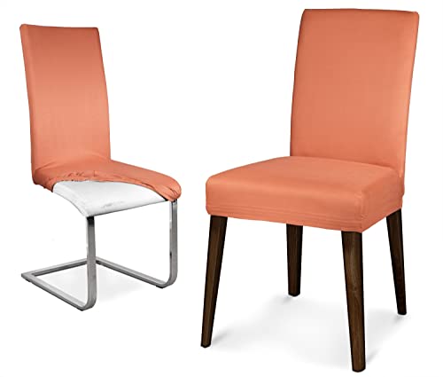 BEAUTEX Mikrofaser Stuhlhusse Sets, Mikrofaser Stuhlbezug, elastische Stretch Husse, Set Größe und Farbe wählbar (4er Set, Terracotta) von BEAUTEX