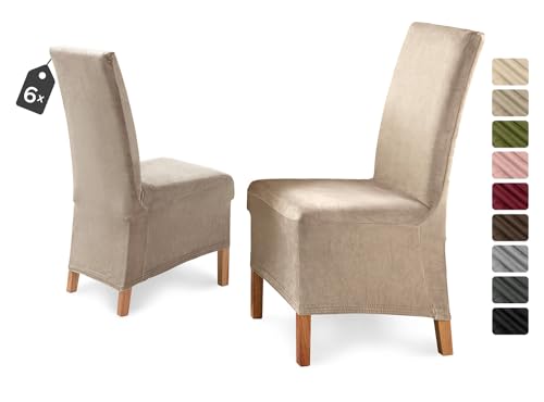 BEAUTEX Stuhlhussen Sets, Eva Samt Mikrofaser Stuhlbezug Lang, elastische Stretch Husse, Farbe wählbar (Natur 6er Set) von BEAUTEX
