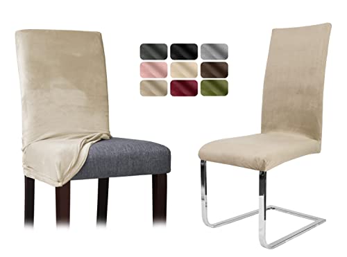 BEAUTEX Stuhlhussen Sets, Samt Mikrofaser Stuhlbezug, elastische Stretch Husse, Set -Größe und Farbe wählbar (Natur 4er Set) von BEAUTEX