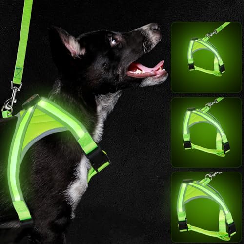 BEAUTIFABLE Leuchtendes Hundegeschirr für mittelgroße Hunde, kein Ziehen, LED-Hundeweste mit Leine, beleuchtet, wiederaufladbar, perfekt für nächtliche Spaziergänge und Camping von BEAUTIFABLE