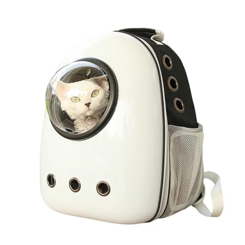 BEAUTYC Katzenrucksack Haustier Im Freien Tragbare Transparente Katzentasche, Atmungsaktiver Katzenrucksack, Große Kapazität-Schwarz BEAUTYC Katzenrucksack Haustier Im Freien Tragbare Transparente Katzentasche, Atmungsaktiver Katzenrucksack, Große Kapazität-Schwarz von BEAUTYC