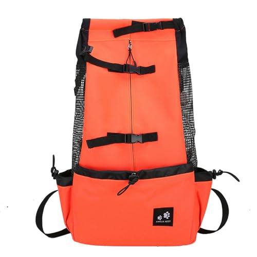 BEAUTYC Katzenrucksack Haustier Rucksack, Reisenden Rucksack, Hund Ausgesetzt Tasche, Belüftet Und Atmungsaktiv-Orange-M BEAUTYC Katzenrucksack Haustier Rucksack, Reisenden Rucksack, Hund Ausgesetzt Tasche, Belüftet Und Atmungsaktiv-Orange-M von BEAUTYC