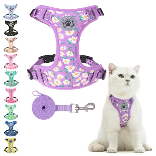 BEAUTYZOO Katzengeschirr und Leine, Set zum Spazierengehen, ausbruchsicher, Halsfreigabe, verstellbares Geschirr für Kätzchen, Welpen, kleine, kleines Katzengeschirr für Katzen, Jungen und Mädchen von BEAUTYZOO