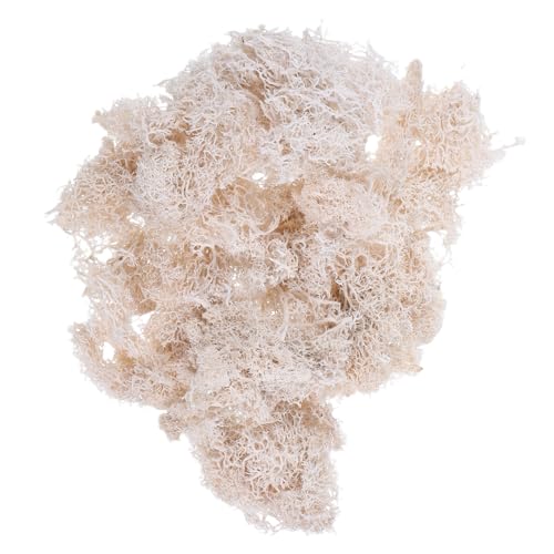 BEBEMOKO Preserved Fresh Moss für DIY Bastelkunst Hochzeitsdeko Gartenornamente Flexibel Staubarm Langlebig als Pflanzenerdeabdeckung und Geschenkverpackung BEBEMOKO Preserved Fresh Moss für DIY Bastelkunst Hochzeitsdeko Gartenornamente Flexibel Staubarm Langlebig als Pflanzenerdeabdeckung und Geschenkverpackung von BEBEMOKO