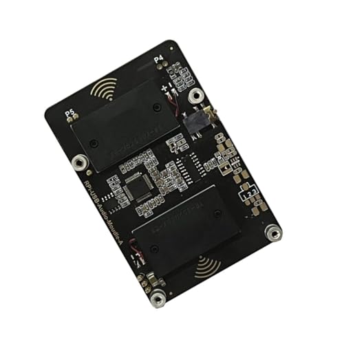 Für RPi 5 USB-Soundkarten-Moudle Hat mit Kopfhöreranschluss, Buzzer Lautsprecher für RPI 5/RPI4 Board, optionales Top-Design von BEBIKR