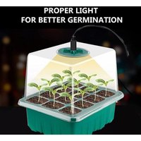 BEBUSINGOTO 5-teiliges Mini-Gewächshaus-Set für Pflanzen mit Vollspektrum-Solarlicht, Indoor-Growbox mit Abdeckung und Belüftungsöffnungen von BEBUSINGOTO