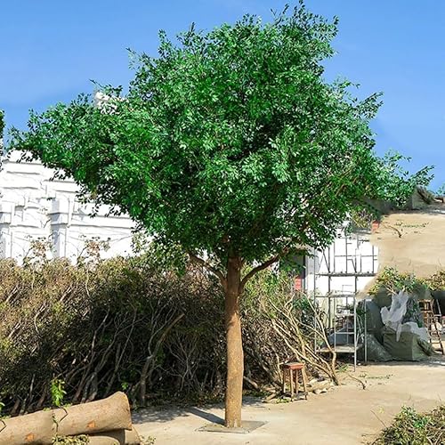 BEDOIN Künstlicher Feigenbaum – künstliche Banyan-Simulation, perfekt für Wohnraumdekoration, Schaufenster in Einkaufszentren, wartungsfreier künstlicher Banyan-Baum 1mx0.8m von BEDOIN