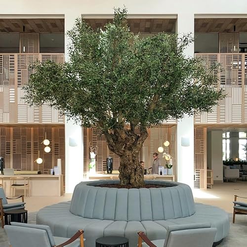 Simulation Großer Olivenbaum Einkaufszentrum Hotel Fenster Dekorativer Baum Glasfaser Künstliche Frucht Simulation Olivenbaum 4m von BEDOIN