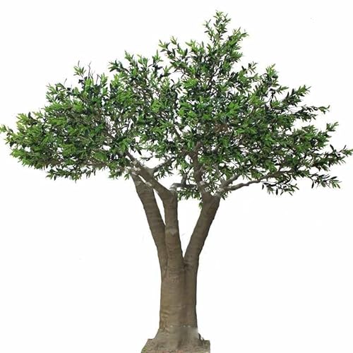 Simulation Großer Olivenbaum Supergroßer Glasfaser-Simulationsbaum Simulations-Requisiten Ornament Ingenieurwesen Landschaftsgestaltung Innen- und Außendekoration 3.5m von BEDOIN