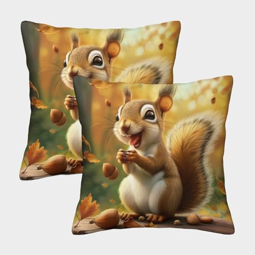 BEDPOCHY Eichhörnchen Kissenbezüge 2er Set Kissen Bezug Couchkissen für Sofa Schlafzimmer Wohnzimmer Balkon 45x45cm von BEDPOCHY