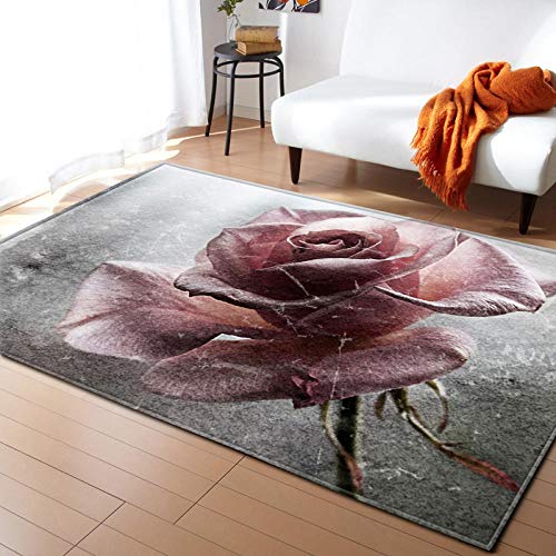 BEDSERG Outdoor Teppich Home Teppich Graue rosa Blumen Kurzflor rutschfest Teppich Modern Teppiche für Wohnzimmer 160x230cm von BEDSERG