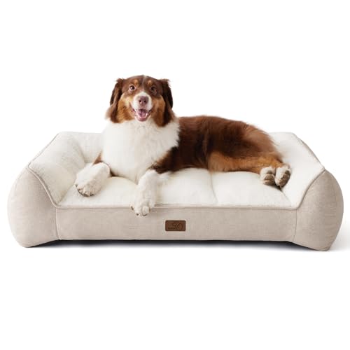 BEDSURE orthopädisches Hundebett Grosse Hunde - 89x63cm waschbar und wasserdicht Hundekorb orthopädisch mit weicher plüsch Sherpa, rutschfest Hundesofa Hundecouch,Creme BEDSURE orthopädisches Hundebett Grosse Hunde - 89x63cm waschbar und wasserdicht Hundekorb orthopädisch mit weicher plüsch Sherpa, rutschfest Hundesofa Hundecouch,Creme von BEDSURE