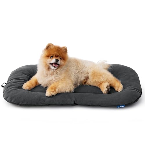 BEDSURE Hundebett Mittelgroße Kleine Hunde - 59x43 cm, Hundekissen Waschbar für Welpen und Katzen, Dog Bed Superweich Hundematte mit Rutschfester Unterseite,Dunkelgrau BEDSURE Hundebett Mittelgroße Kleine Hunde - 59x43 cm, Hundekissen Waschbar für Welpen und Katzen, Dog Bed Superweich Hundematte mit Rutschfester Unterseite,Dunkelgrau von BEDSURE
