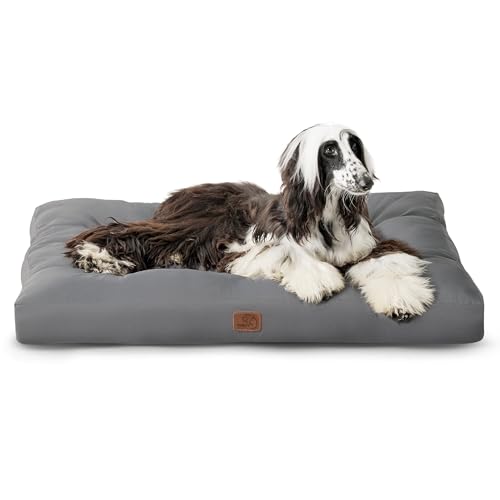 BEDSURE Hundekissen Grosse Hunde waschbar - 120x90cm hundematratze XXL für große, mittelgroße Hunde Outdoor gepolstert Hundematte dunkelgrau in 10cm Höhe, XL Kühlmatte für Haustiere BEDSURE Hundekissen Grosse Hunde waschbar - 120x90cm hundematratze XXL für große, mittelgroße Hunde Outdoor gepolstert Hundematte dunkelgrau in 10cm Höhe, XL Kühlmatte für Haustiere von BEDSURE
