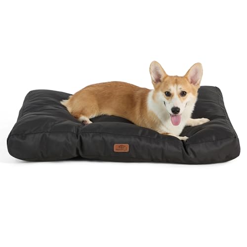 BEDSURE Hundekissen kleine Hunde waschbar - 76x50cm Hundebett M für kleine, mittelgroße Hunde gepolstert Hundematte tiefschwarz in 10cm Höhe BEDSURE Hundekissen kleine Hunde waschbar - 76x50cm Hundebett M für kleine, mittelgroße Hunde gepolstert Hundematte tiefschwarz in 10cm Höhe von BEDSURE
