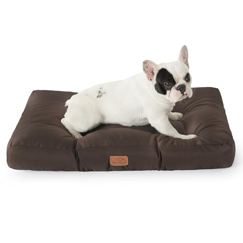 BEDSURE Hundekissen kleine Hunde waschbar - 76x50cm hundematratze M für kleine, mittelgroße Hunde Outdoor gepolstert Hundematte braun in 10cm Höhe BEDSURE Hundekissen kleine Hunde waschbar - 76x50cm hundematratze M für kleine, mittelgroße Hunde Outdoor gepolstert Hundematte braun in 10cm Höhe von BEDSURE