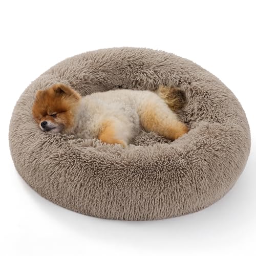 BEDSURE Katzenbett waschbar Flauschiges Katzenbett - Ø 60 cm Katzenschlafplatz für Katzen und kleine Hunde, plüsch Katzenkissen rund Kuschelbett, Kamel BEDSURE Katzenbett waschbar Flauschiges Katzenbett - Ø 60 cm Katzenschlafplatz für Katzen und kleine Hunde, plüsch Katzenkissen rund Kuschelbett, Kamel von BEDSURE