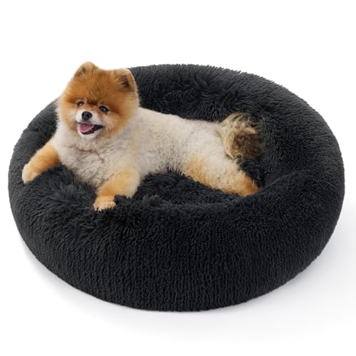 BEDSURE Katzenbett waschbar Flauschiges Katzenbett - Ø 60 cm Katzenschlafplatz für Katzen und kleine Hunde, plüsch Katzenkissen rund Kuschelbett, dunkelgrau BEDSURE Katzenbett waschbar Flauschiges Katzenbett - Ø 60 cm Katzenschlafplatz für Katzen und kleine Hunde, plüsch Katzenkissen rund Kuschelbett, dunkelgrau von BEDSURE