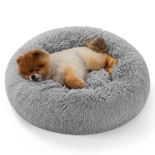 BEDSURE Katzenbett waschbar Flauschiges Katzenbett - Ø 60 cm Katzenschlafplatz für Katzen und kleine Hunde, plüsch Katzenkissen rund Kuschelbett, hellgrau BEDSURE Katzenbett waschbar Flauschiges Katzenbett - Ø 60 cm Katzenschlafplatz für Katzen und kleine Hunde, plüsch Katzenkissen rund Kuschelbett, hellgrau von BEDSURE