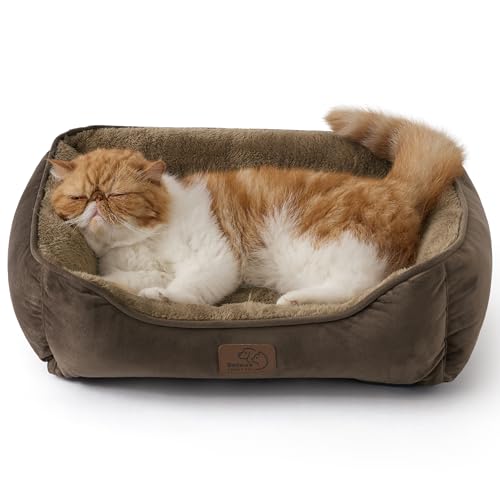 BEDSURE Katzenbett waschbar Katzen Bettchen - 51x41cm Katzenkorb Indoor mit Rutschfester Basis, quadratisches Hundebett für kleine Hunde mit weichem Rand, braun von BEDSURE