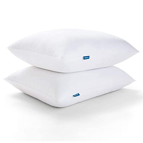 BEDSURE Standard-Kissen zum Schlafen, Bettkissen, Hotelqualität, weiche Daunen, Alternative Kissen, 2 Stück, hypoallergenes Kissen für Seiten- und Rückenschläfer (Standard, 50,8 x 66 cm, 2 Stück) BEDSURE Standard-Kissen zum Schlafen, Bettkissen, Hotelqualität, weiche Daunen, Alternative Kissen, 2 Stück, hypoallergenes Kissen für Seiten- und Rückenschläfer (Standard, 50,8 x 66 cm, 2 Stück) von BEDSURE