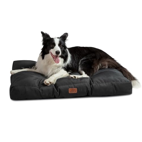 BEDSURE Hundebett große Waschbar - 91x68 cm hundematratze kühlmatte L für Hunde, Outdoor gepolstert Hundematte tiefschwarz in 10cm Höhe, selbstkühlend Grosse XL Hundekissen für Sommer BEDSURE Hundebett große Waschbar - 91x68 cm hundematratze kühlmatte L für Hunde, Outdoor gepolstert Hundematte tiefschwarz in 10cm Höhe, selbstkühlend Grosse XL Hundekissen für Sommer von BEDSURE