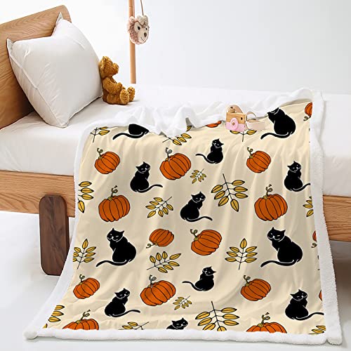 Kuscheldecke Tier Katze Kürbis Decke Flanell Lammwolle Fleecedecke Doppelseitiges Design Kuscheldecke Flauschig Weich Decken Blanket Sofadecke Pflegeleicht Flauschige Decke 80x150cm von Bedsure