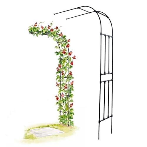 BEEGMA Halbbogen Wandrosenbogen Metall Gartenbogen Rankhilfe Kletterpflanzen Halb Rankhilfe Rankgitter Torbogen Pergola Breite 60-300cm Hoch 240cm (Size : W300xH240cm/W9.8xH7.9ft) von BEEGMA