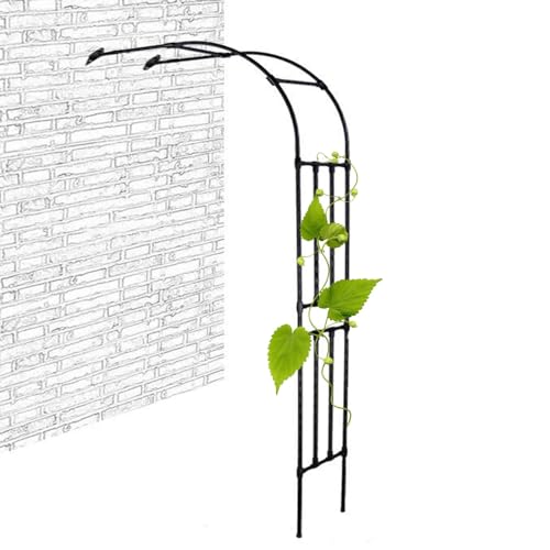 BEEGMA Rosenbogen Garten Halbbogen 60x240x45cm 120x240x45cm 240x240x45cm Metall Torbogen Rankhilfe Rankgitter Halb-rosenbogen Wetterfest Stabiles (Size : W180xH240cm/W5.9xH7.9ft) von BEEGMA