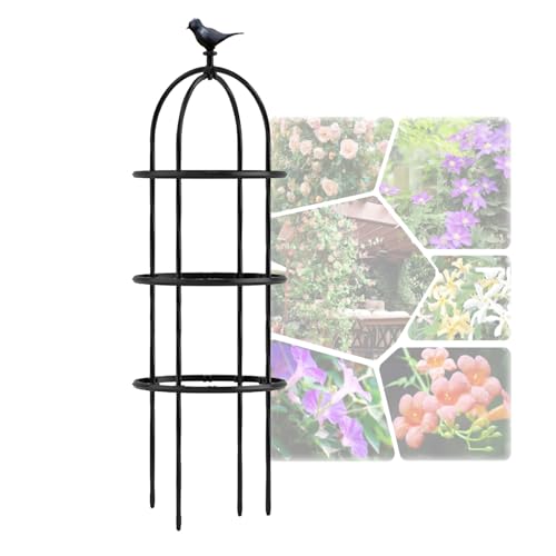 Rankobelisk Spalier Tomatenkäfig Durable Metall Obelisk für Kletterpflanzen und Rosen 180x50cm 230x50cm 280x50cm 330x50cm (Color : Black, Size : H230x D50cm(7.5x1.6ft)) von BEEGMA