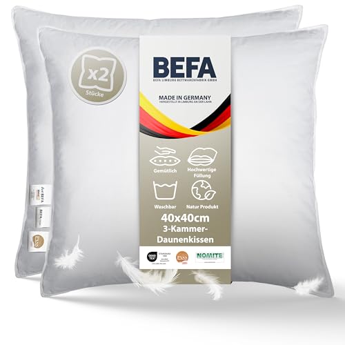 BEFA NATUR Made in Germany 3-Kammer-Kissen 40 x 40 cm aus 90% Daunen und 10% Federn, Allergiker geeignet (Nomite), Öko-Text 100 Klasse 1 Zertifiziert, EN Standart 12934, Downpass (2 Stück) von BEFA NATUR