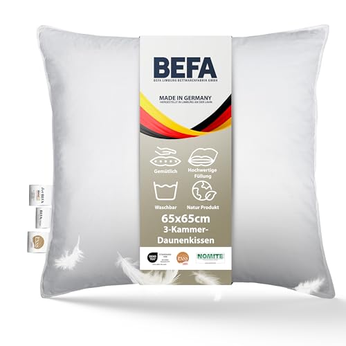 BEFA NATUR Made in Germany 3-Kammer-Kissen 65x65 cm aus 90% Daunen und 10% Federn, Allergiker geeignet (Nomite), Öko-Text 100 Klasse 1 Zertifiziert, EN Standart 12934, Downpass von BEFA NATUR