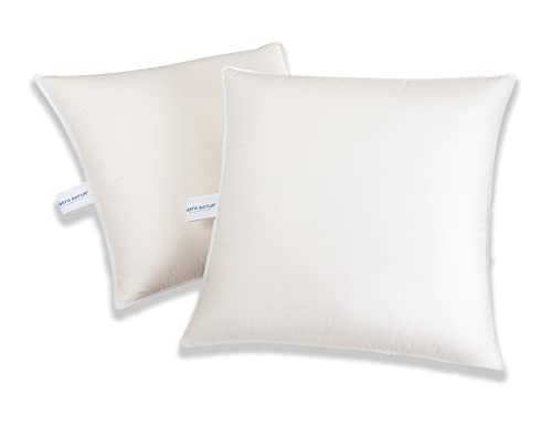 BEFA NATUR Sofakissen 50x50 cm (4 Stück) | Dekokissen, Zierkissen, Kissen aus 100% Federn | 505g Füllgewicht/STK | für Allergiker (NOMITE) | Tierwohl (DOWNPASS) | Oeko-TEX Klasse 1 | Made in Germany von BEFA NATUR