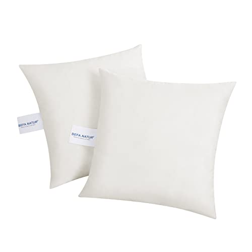 BEFA NATUR Sofakissen 60x60 cm (2 Stück) | Dekokissen, Zierkissen, Kissen aus 100% Federn | 800g Füllgewicht/STK | für Allergiker (NOMITE) | Tierwohl (DOWNPASS) | Oeko-TEX Klasse 1 | Made in Germany von BEFA NATUR