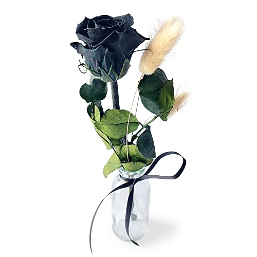 Konservierte Rose mit Vase - Echte ewige Rose mind. 3 Jahre haltbar – kurze Rose mit Stiel Höhe 26 cm - stilvolle Dekoration mit Infinity Rose - Geschenk für jeden Anlass - Made in Germany (Schwarz) von BEIJA FLOR