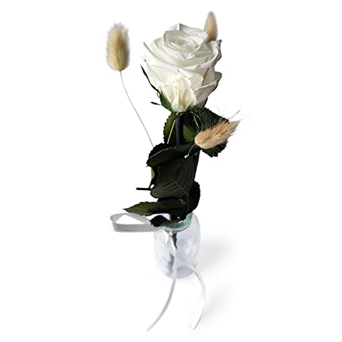 Konservierte Rose mit Vase - Echte ewige Rose mind. 3 Jahre haltbar – kurze Rose mit Stiel Höhe 26 cm - stilvolle Dekoration mit Infinity Rose - Geschenk für jeden Anlass - Made in Germany (Weiß) von BEIJA FLOR