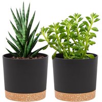 Beijiyi - Set mit 2 Blumentöpfen 12 cm, Blumentöpfe für den Innenbereich mit Drainagelöchern und abnehmbarem Boden, moderner dekorativer Untersetzer Beijiyi - Set mit 2 Blumentöpfen 12 cm, Blumentöpfe für den Innenbereich mit Drainagelöchern und abnehmbarem Boden, moderner dekorativer Untersetzer von BEIJIYI