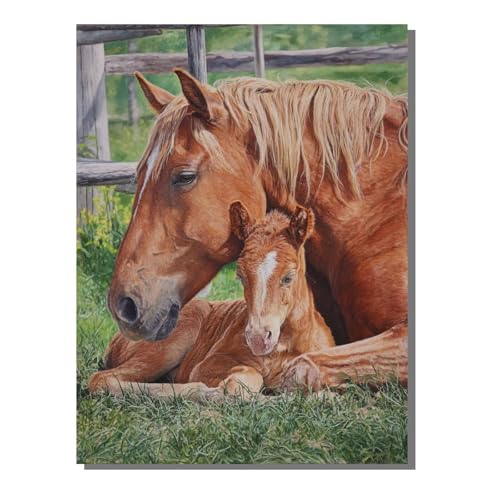 BEIJUYHU 5D Diamant Painting Kit Pferd Diamond Painting Kinder DIY Set, Tier Full Drill Bastelset für Erwachsene, Diamant Kunst Bilder Mosaic Stickerei für Home Wand Dekor 50 x 70 cm BJHF128 von BEIJUYHU