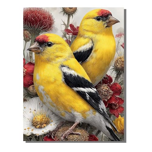 BEIJUYHU Blume 5D Diamond Painting Erwachsene Groß 60x80 cm - Vogel Full Drill Diamant Painting Bilder, DIY Mosaic Bastelset für Kinder, Diamant Kunst Malerei Stickerei für Home Wand Decor BJHF385 BEIJUYHU Blume 5D Diamond Painting Erwachsene Groß 60x80 cm - Vogel Full Drill Diamant Painting Bilder, DIY Mosaic Bastelset für Kinder, Diamant Kunst Malerei Stickerei für Home Wand Decor BJHF385 von BEIJUYHU