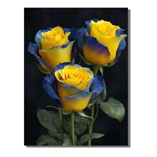 BEIJUYHU Diamond Painting Kinder Rose 5D Diamond Painting Blume Bilder DIY Full drill Crystal Strass Stickerei Mosaic Diamant Malerei Bastelset Geeignet Geschenk und Wanddeko 40x50cm BJHF414 BEIJUYHU Diamond Painting Kinder Rose 5D Diamond Painting Blume Bilder DIY Full drill Crystal Strass Stickerei Mosaic Diamant Malerei Bastelset Geeignet Geschenk und Wanddeko 40x50cm BJHF414 von BEIJUYHU
