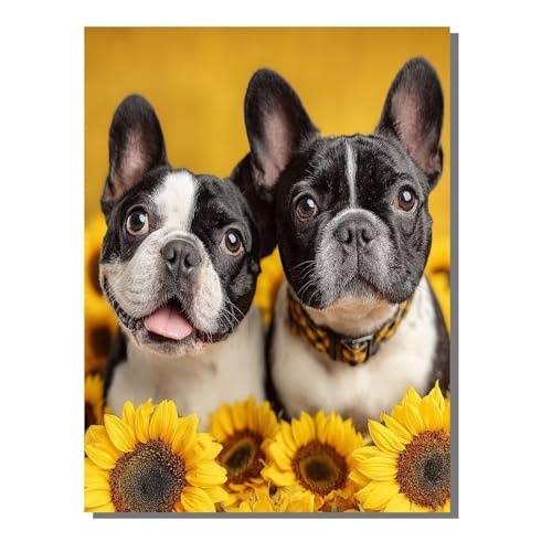 BEIJUYHU Diamond Painting Kinder Tier 5D Diamond Painting Hund Bilder DIY Full drill Crystal Strass Stickerei Mosaic Diamant Malerei Bastelset Geeignet Geschenk und Wanddeko 60x80 cm BJHF384 BEIJUYHU Diamond Painting Kinder Tier 5D Diamond Painting Hund Bilder DIY Full drill Crystal Strass Stickerei Mosaic Diamant Malerei Bastelset Geeignet Geschenk und Wanddeko 60x80 cm BJHF384 von BEIJUYHU